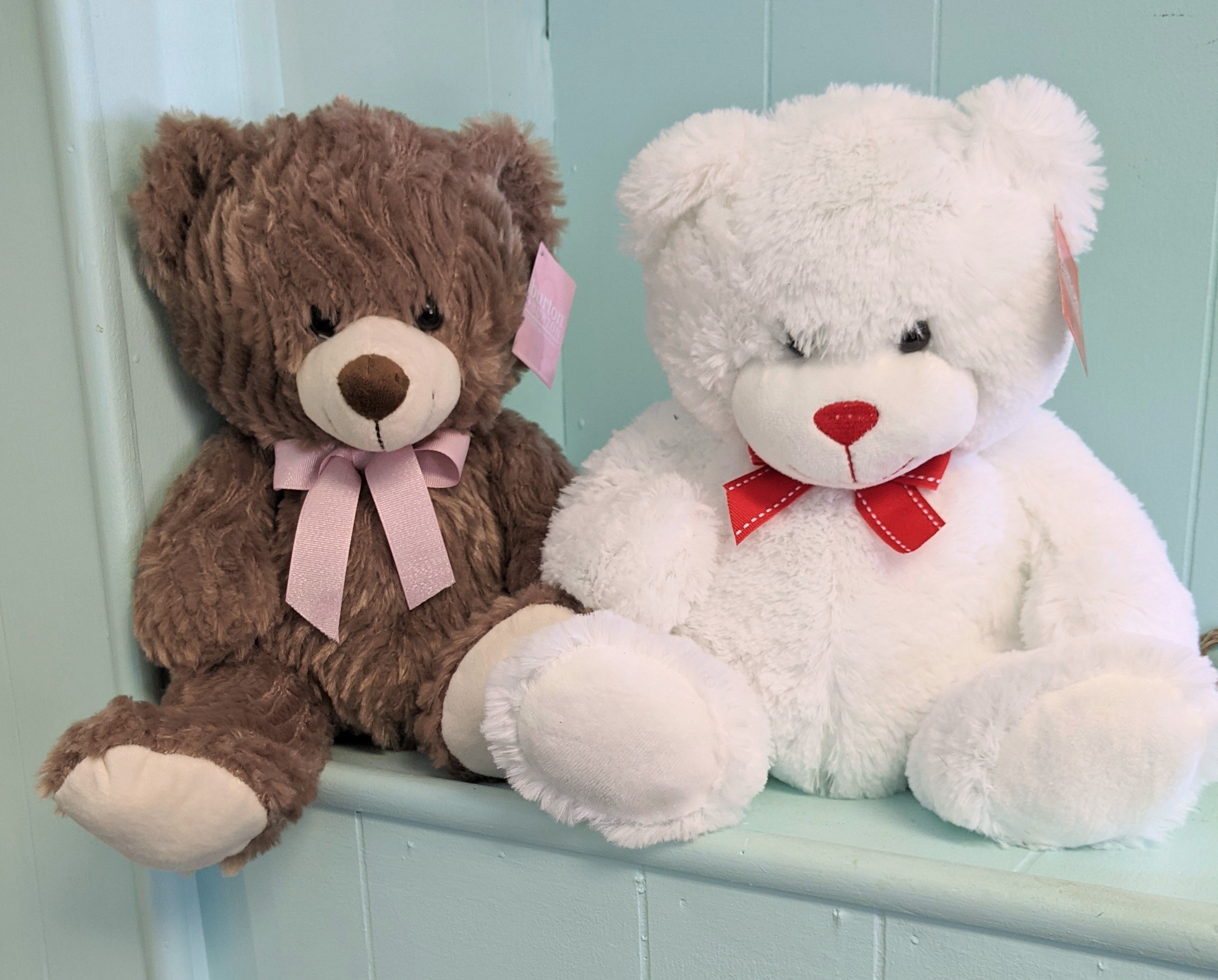 Bears Plush